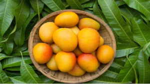 mango-fruit.